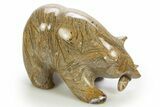 Realistic, Polished Coquina Stone Bear with Fish - Philippines #308445-1